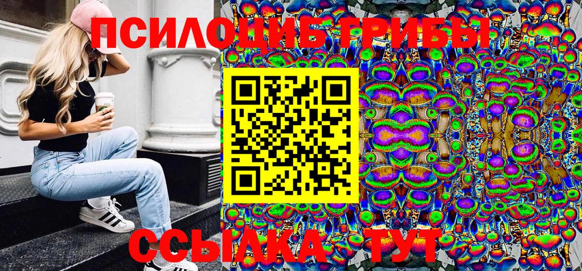 наркота  Галлюциногенные грибы Magic Shrooms  Мценск  Вход с VPN  Галлюциногенные грибы Psilocybine cubensis 